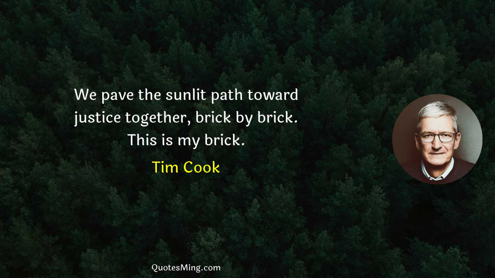 We pave the sunlit path toward justice together brick by