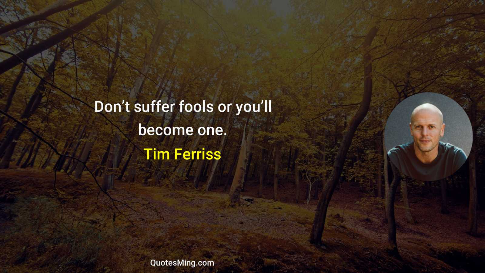 Don’t suffer fools or you’ll become one