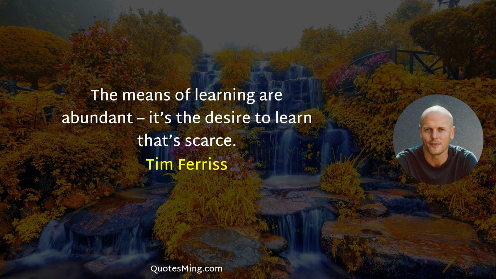 The means of learning are abundant – it’s the desire