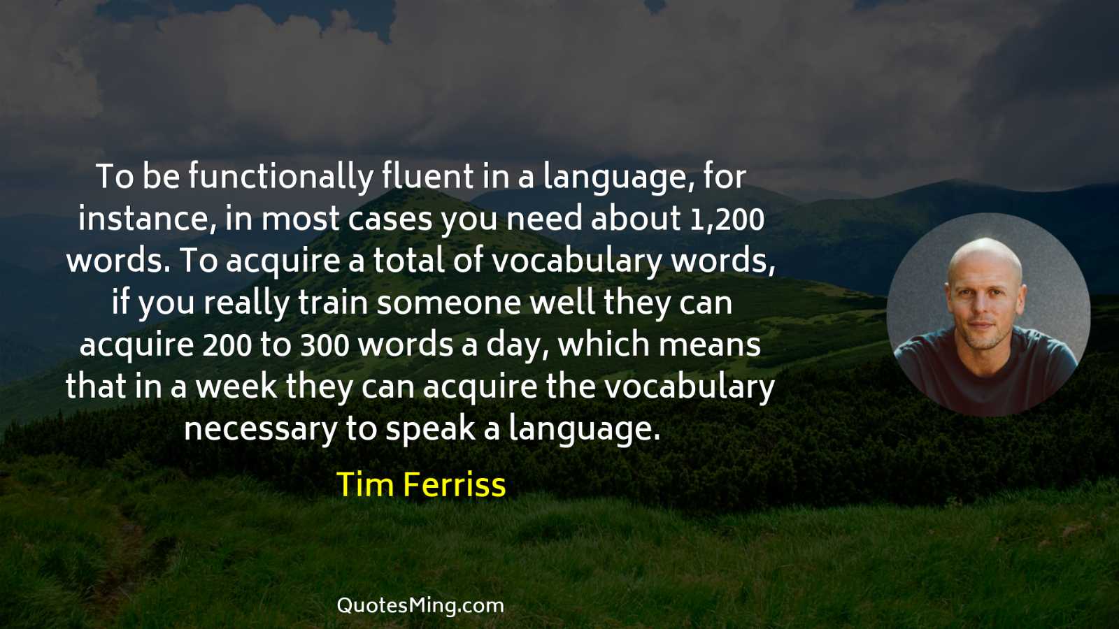 To be functionally fluent in a language for instance in