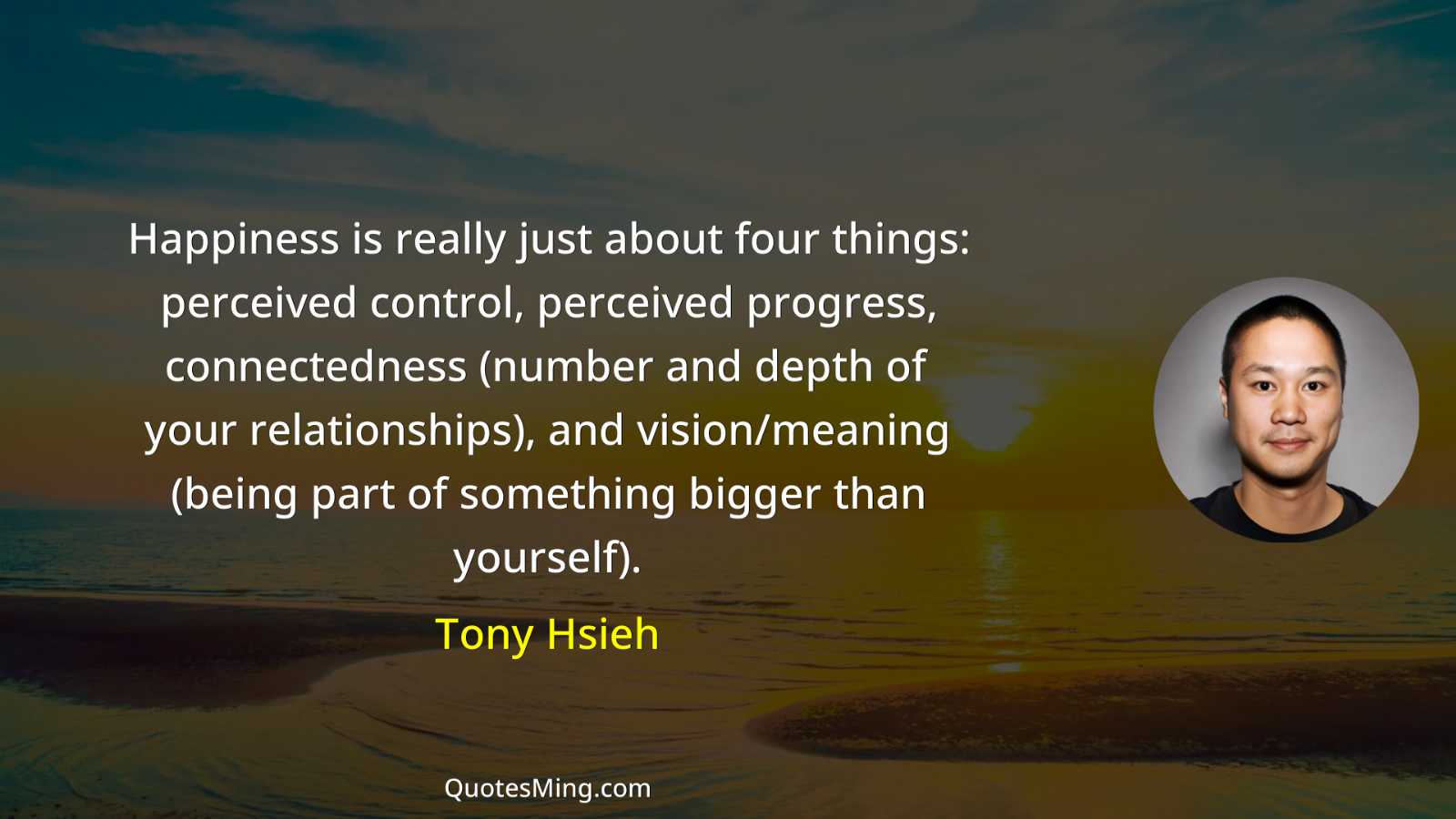 Happiness is really just about four things: perceived control perceived