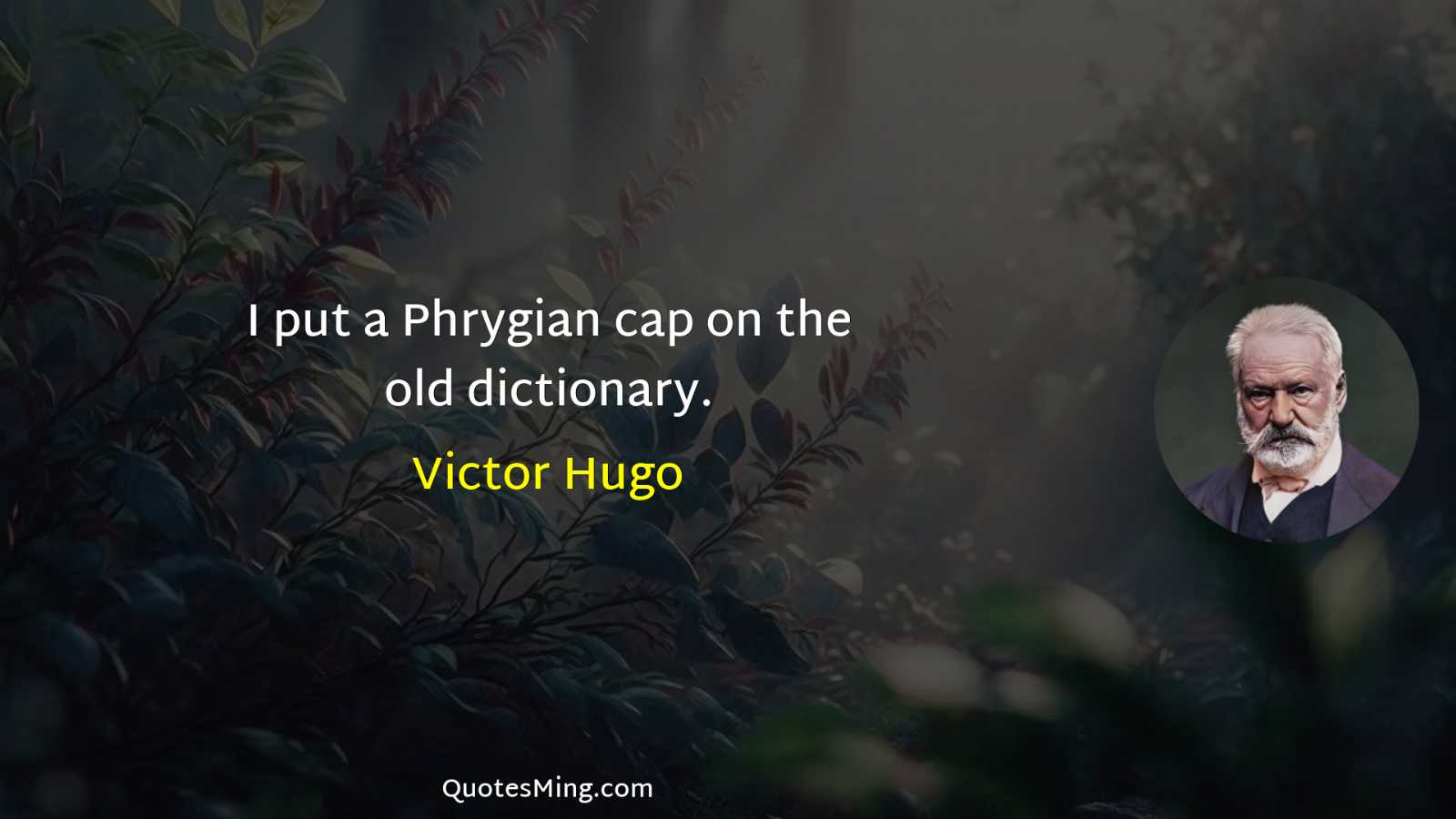 I put a Phrygian cap on the old dictionary