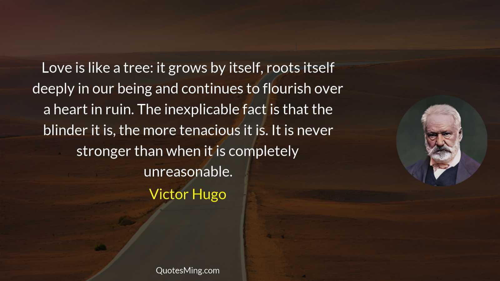 Love is like a tree: it grows by itself roots