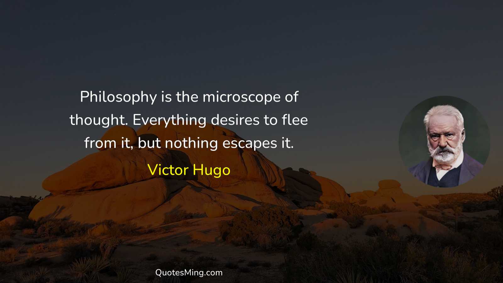 Philosophy is the microscope of thought Everything desires to flee