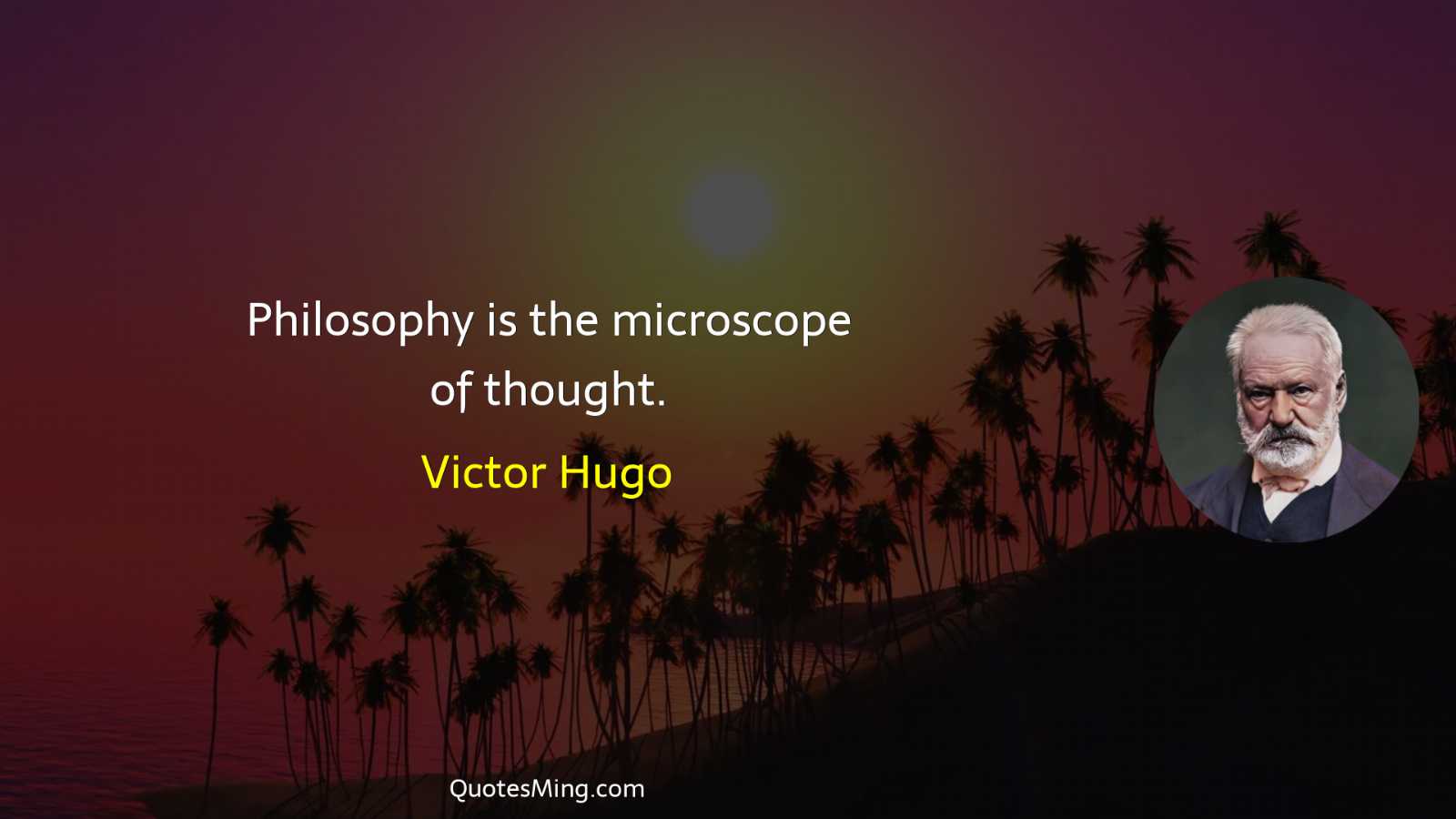 Philosophy is the microscope of thought