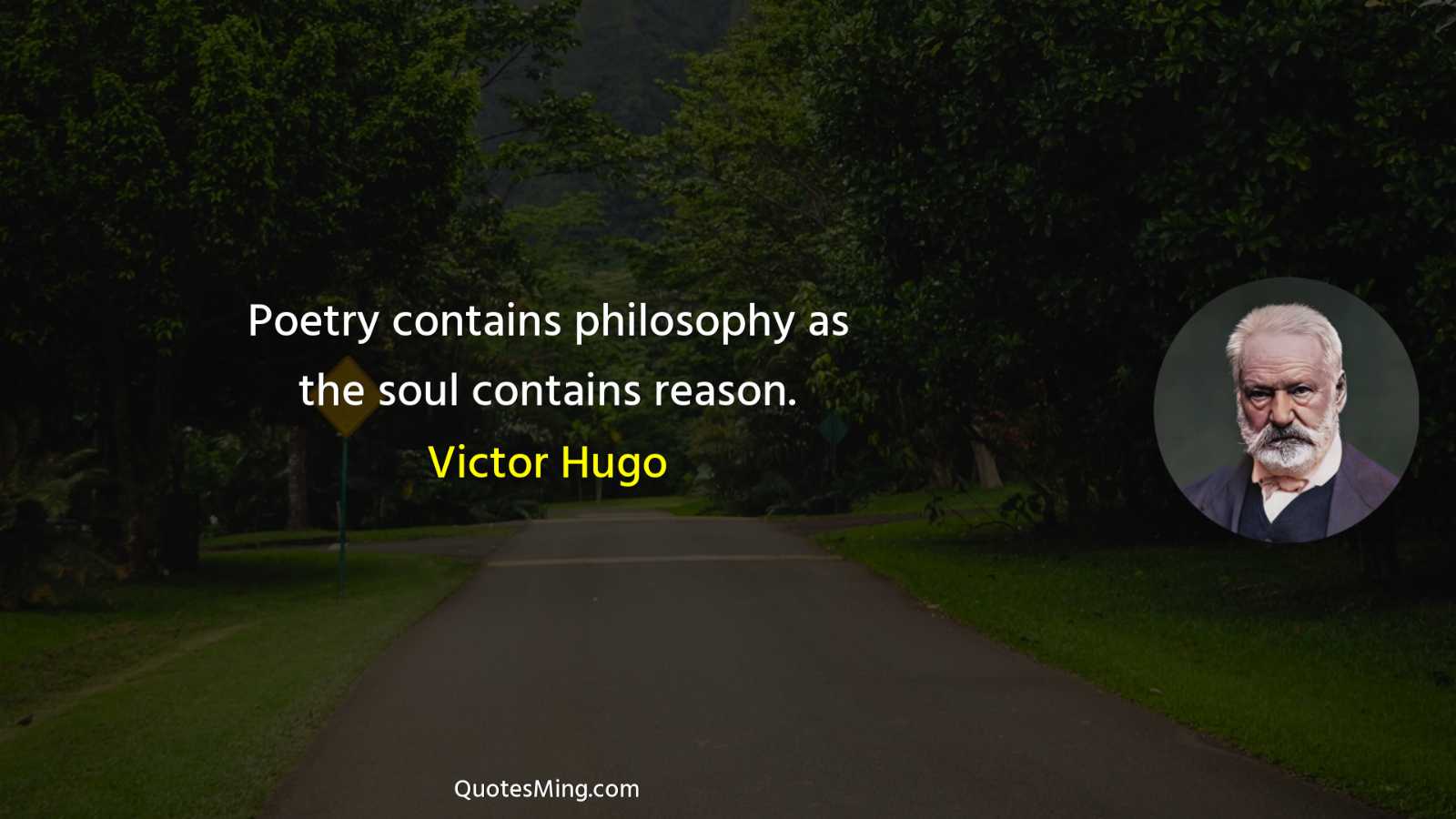 Poetry contains philosophy as the soul contains reason