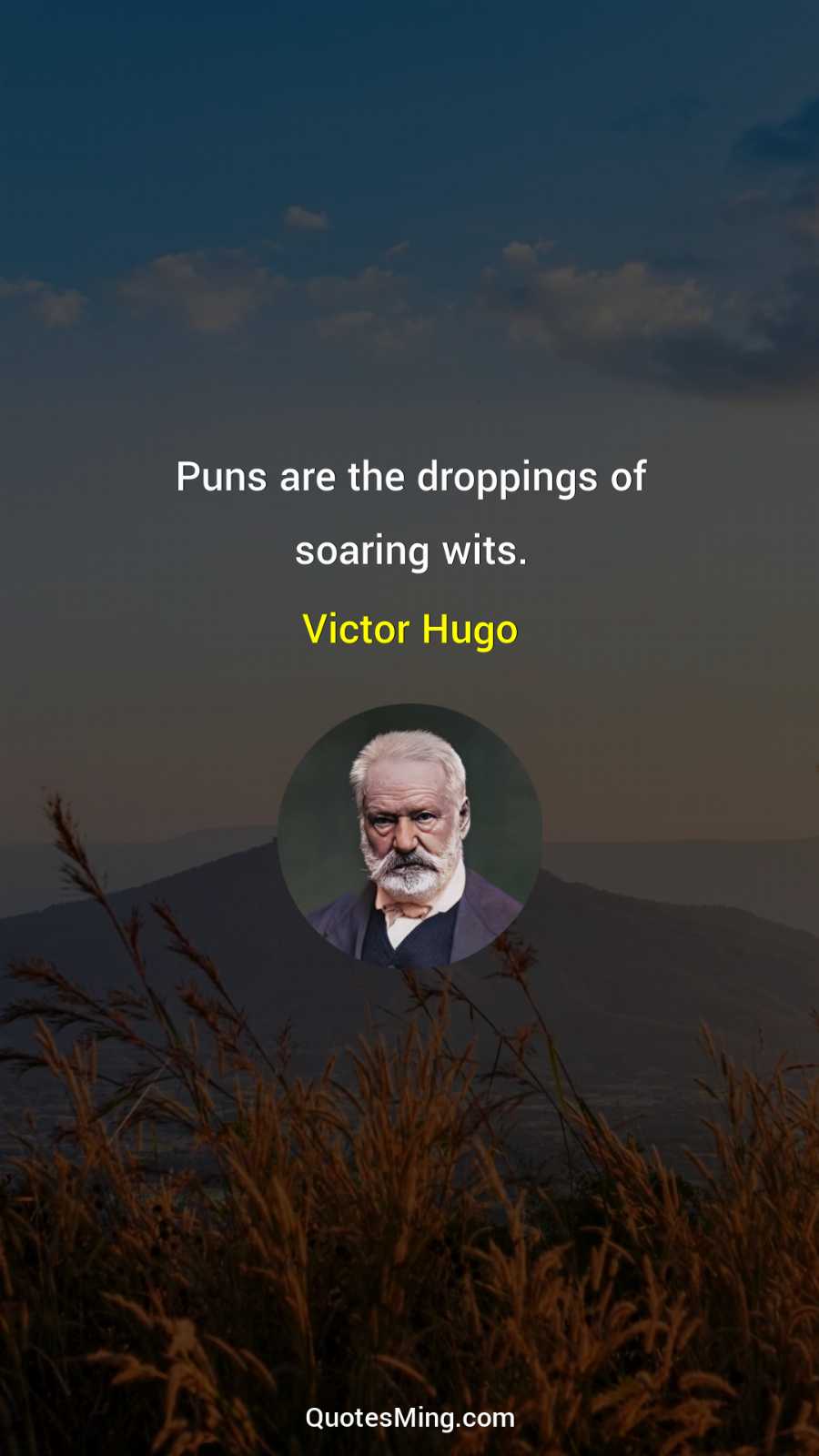 Puns are the droppings of soaring wits