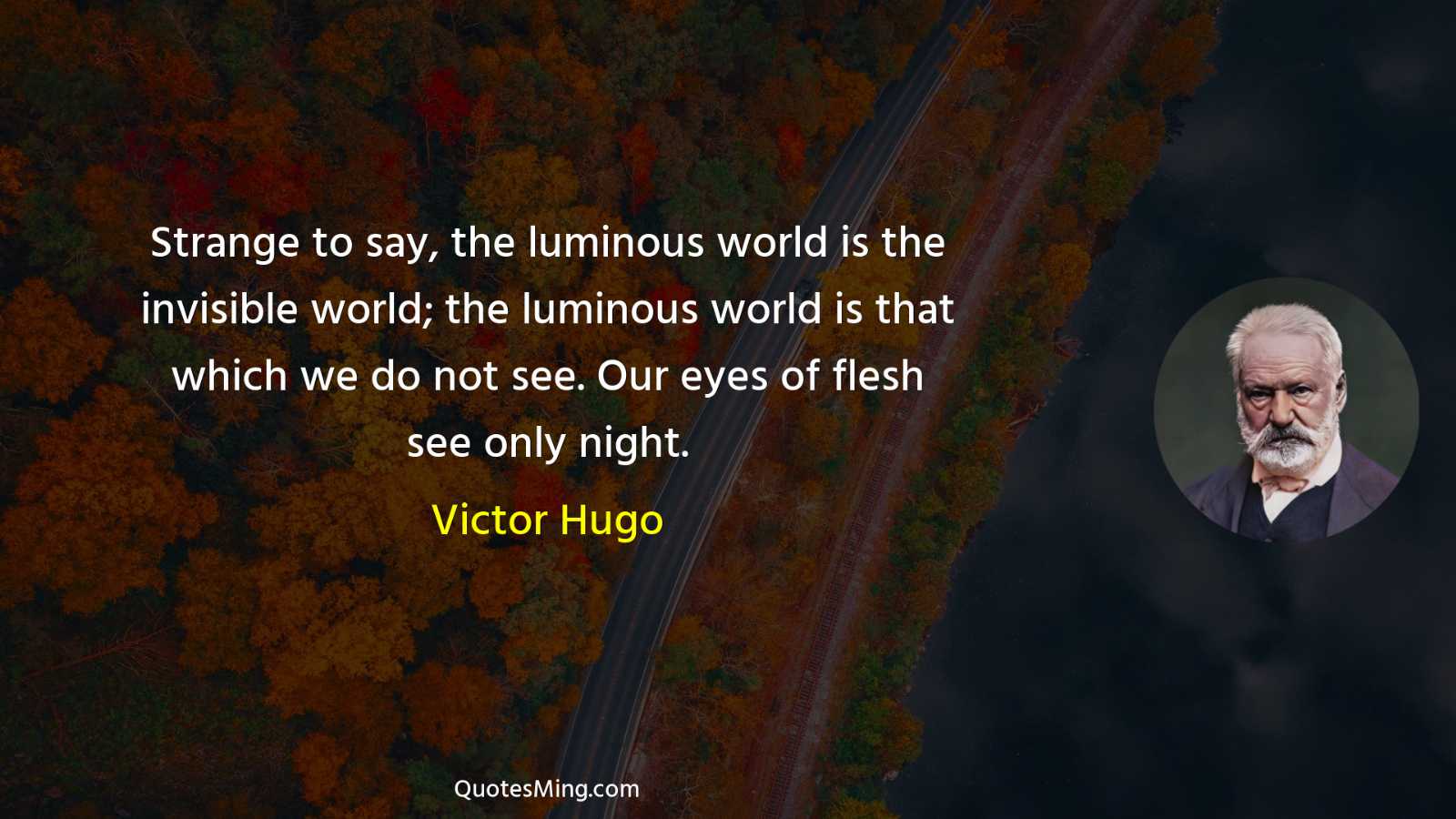 Strange to say the luminous world is the invisible world;