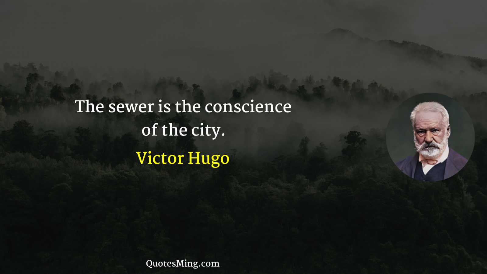 The sewer is the conscience of the city