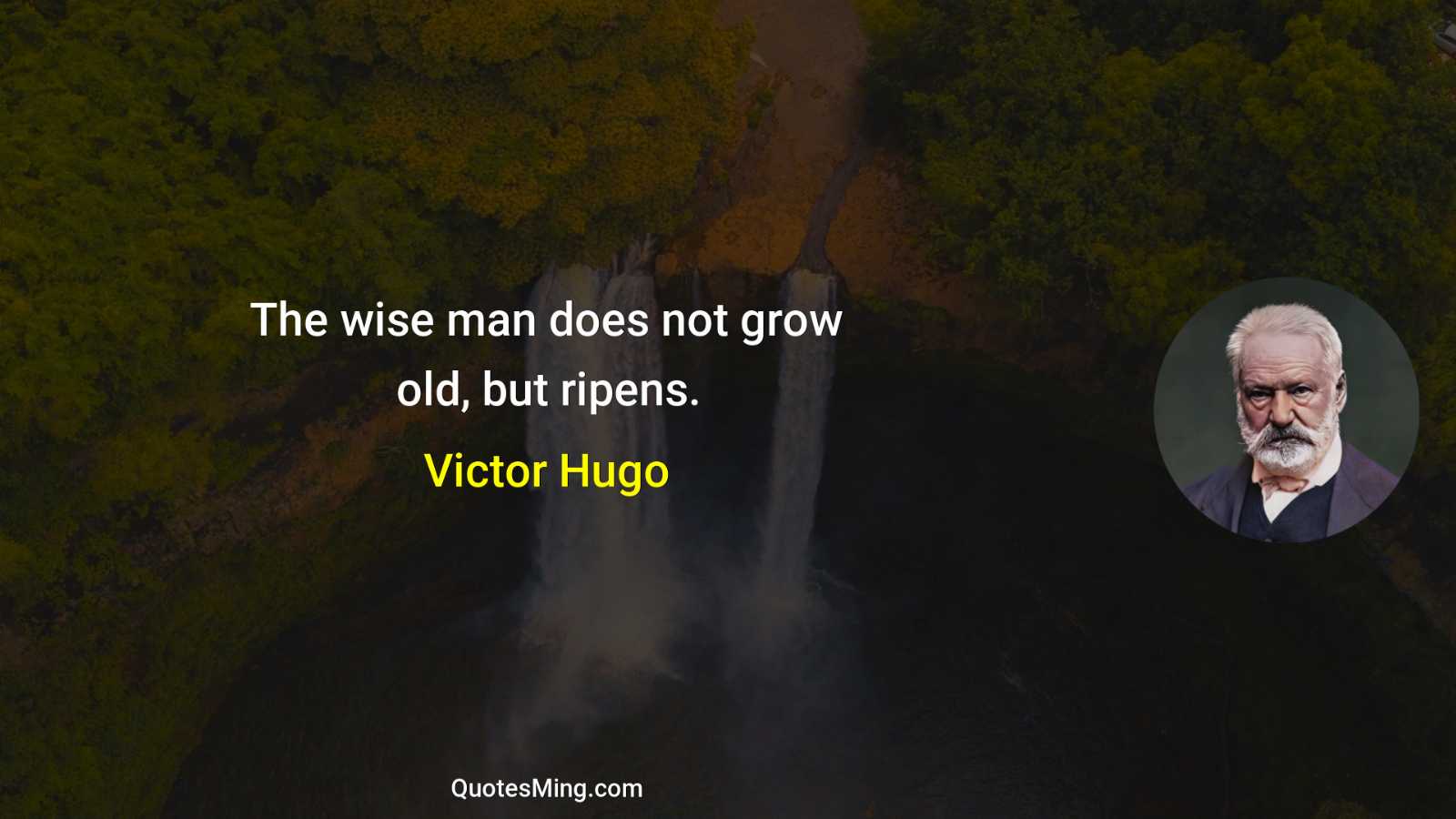 The wise man does not grow old but ripens