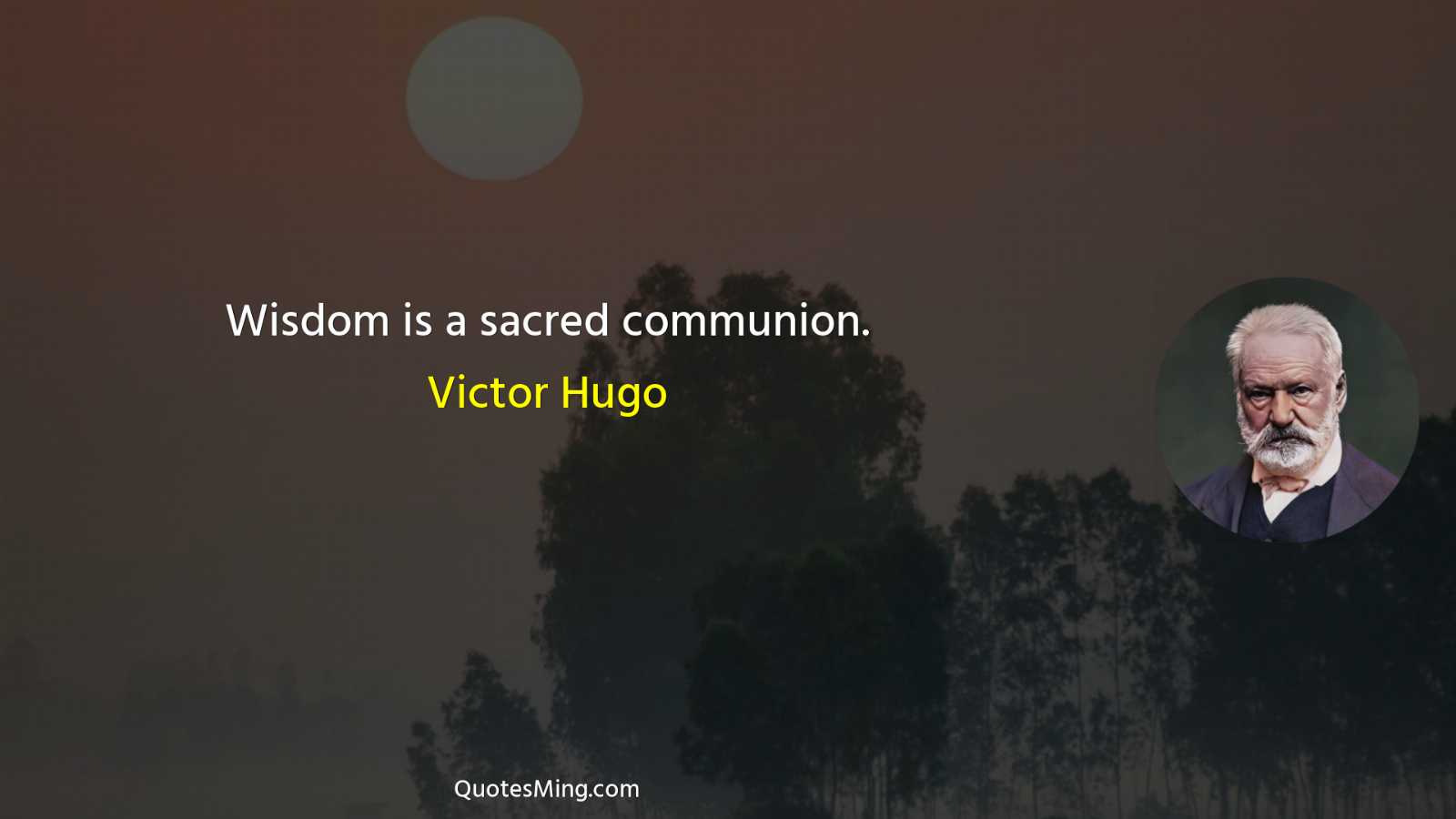 Wisdom is a sacred communion