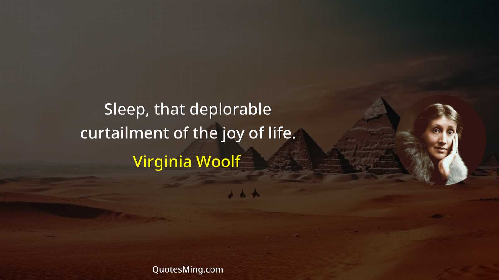 Sleep that deplorable curtailment of the joy of life