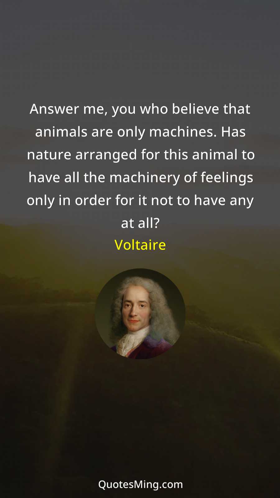 Answer me you who believe that animals are only machines