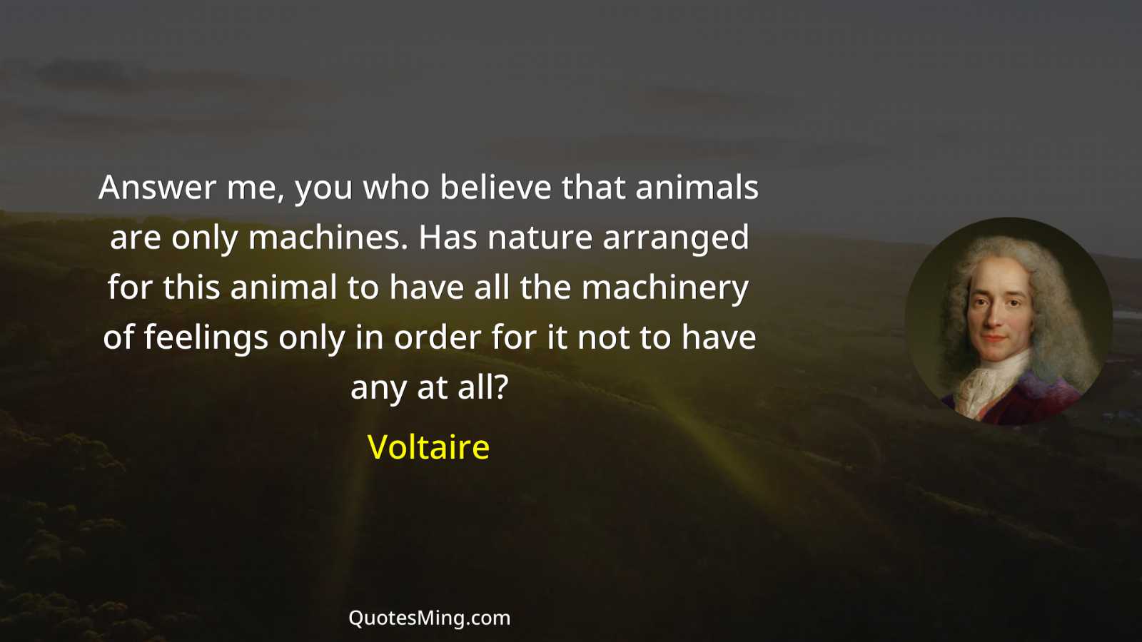 Answer me you who believe that animals are only machines