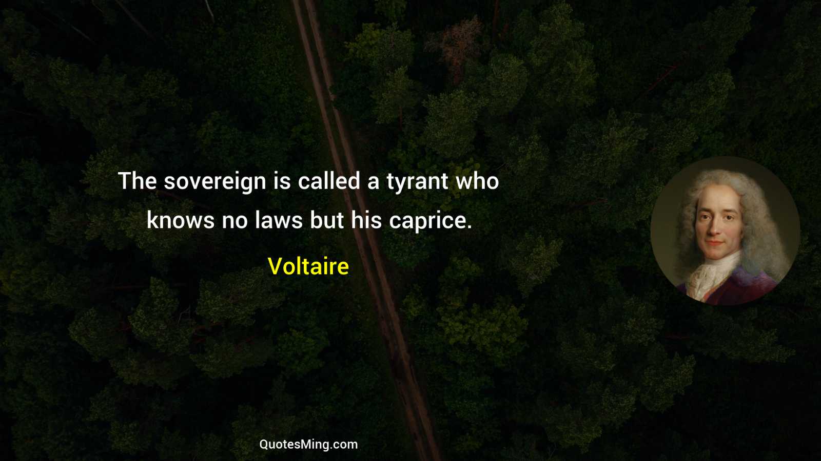 The sovereign is called a tyrant who knows no laws