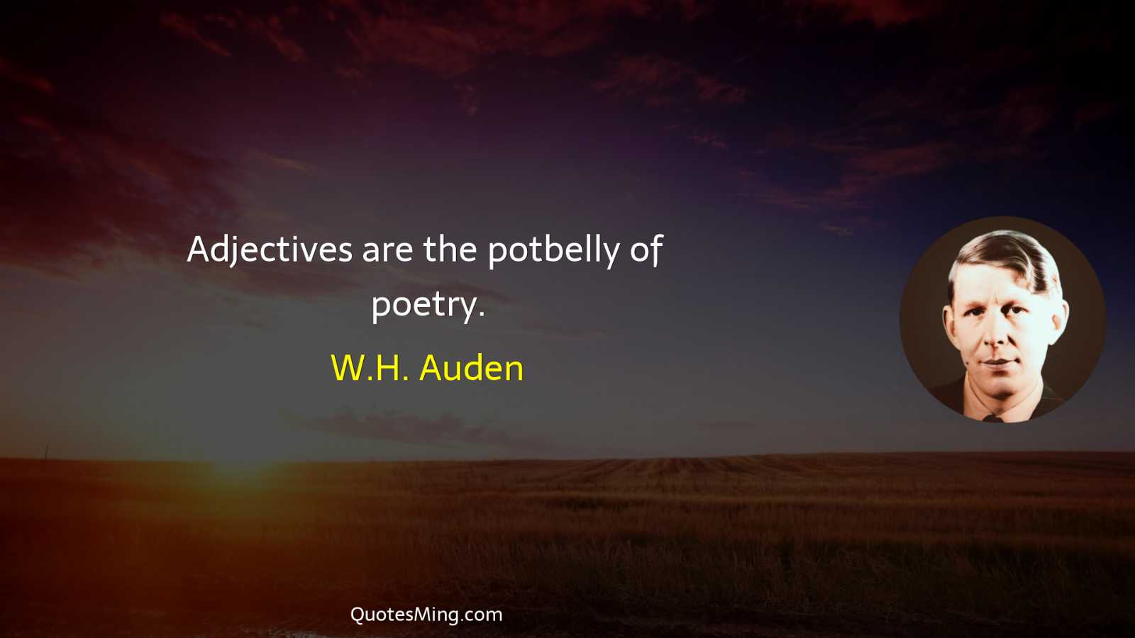 Adjectives are the potbelly of poetry