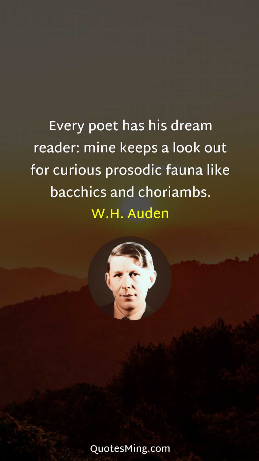 Every poet has his dream reader: mine keeps a look