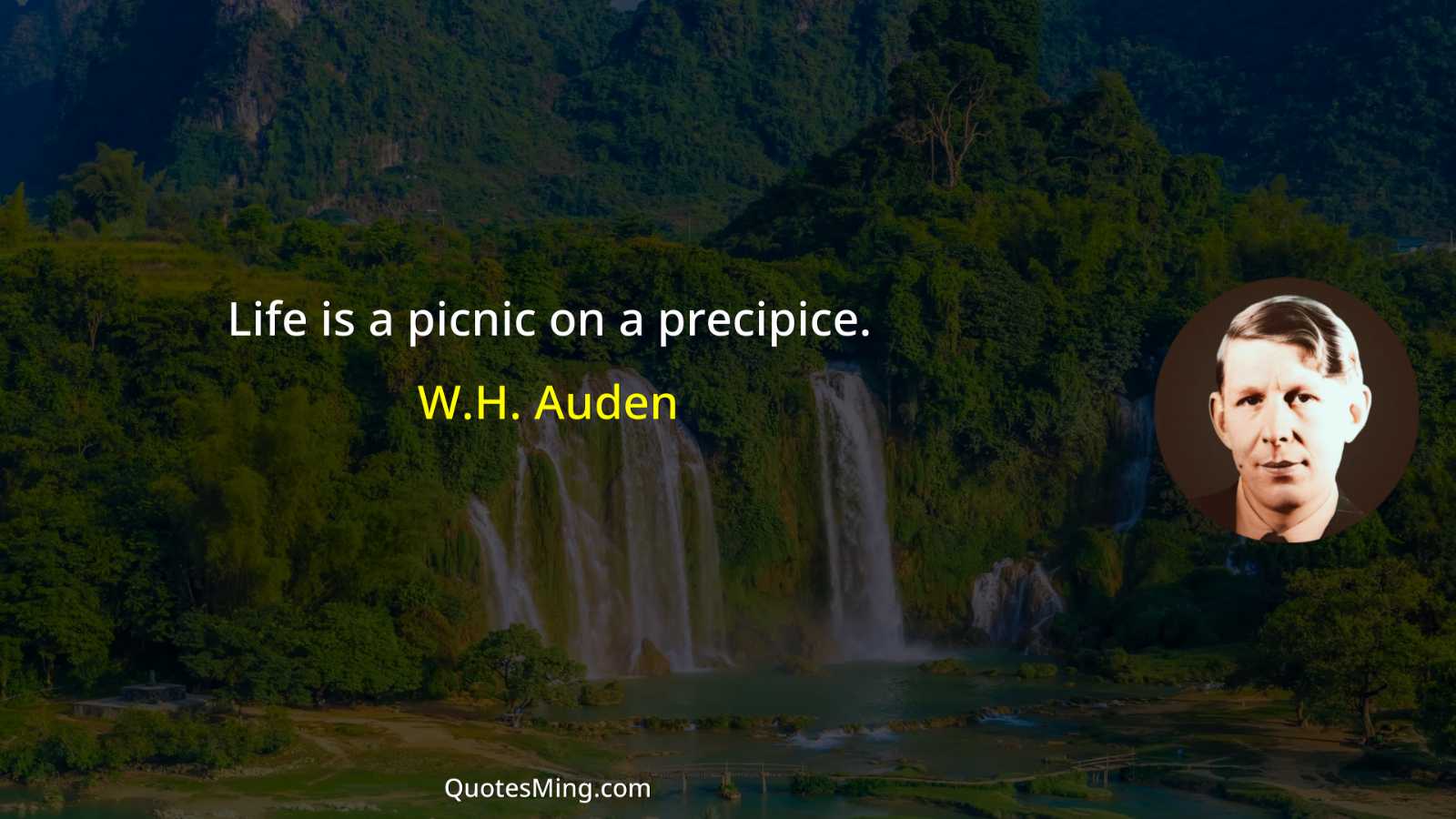 Life is a picnic on a precipice