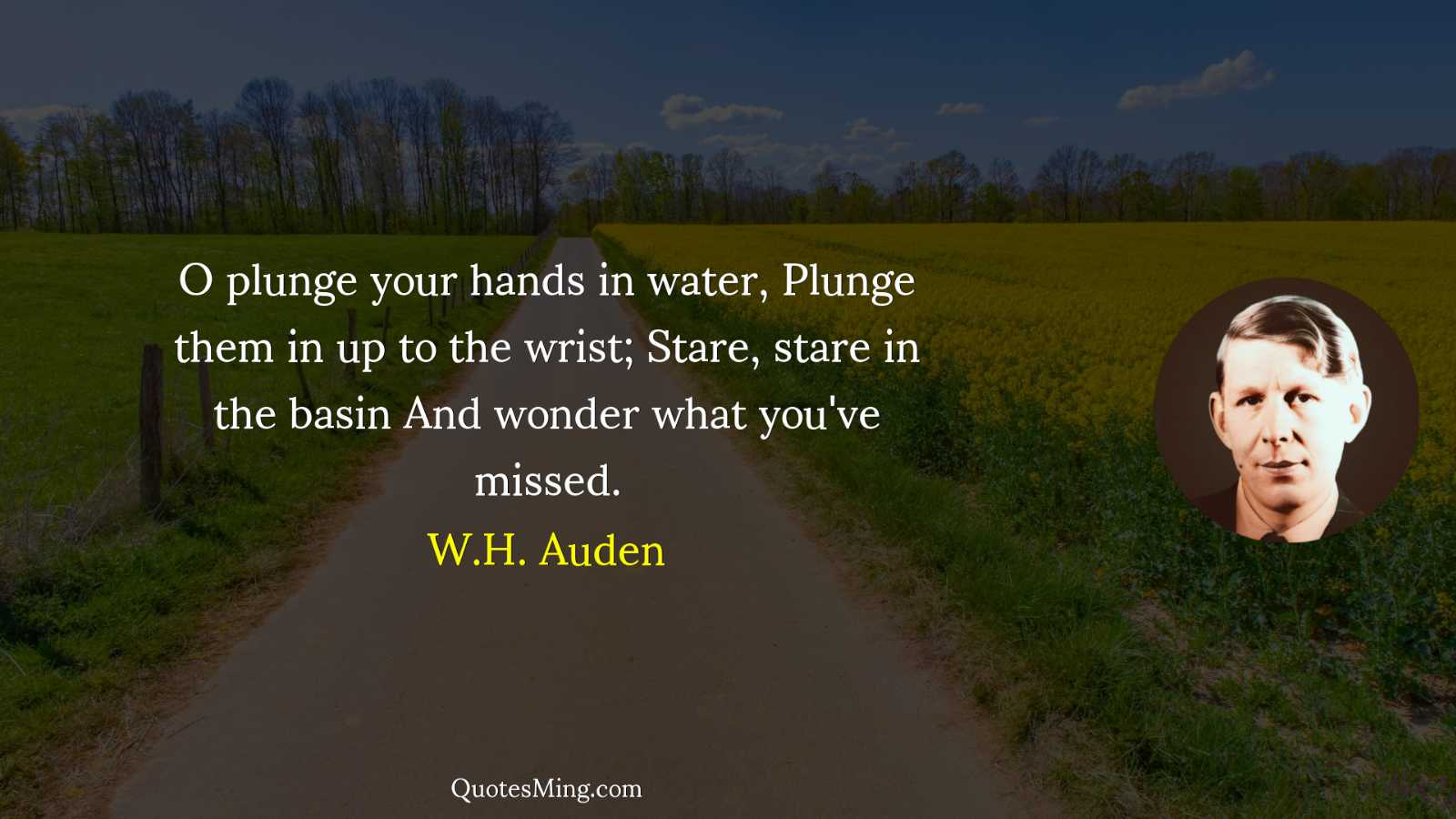 O plunge your hands in water Plunge them in up