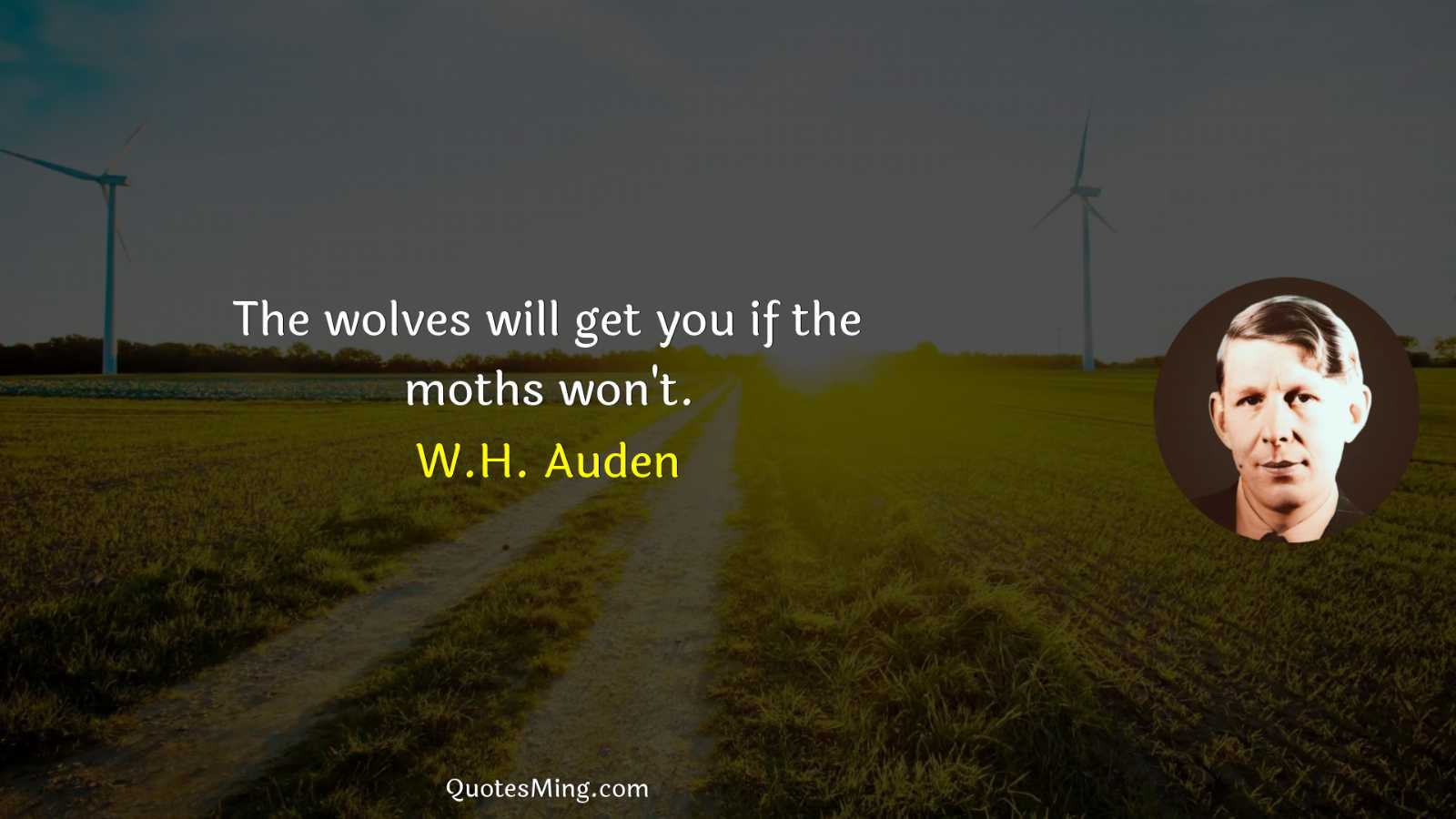 The wolves will get you if the moths won't