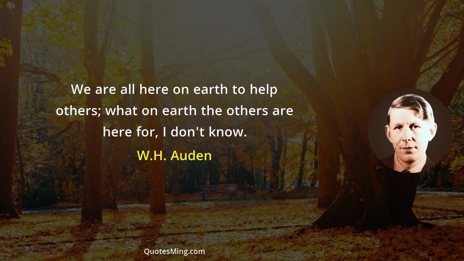 We are all here on earth to help others; what