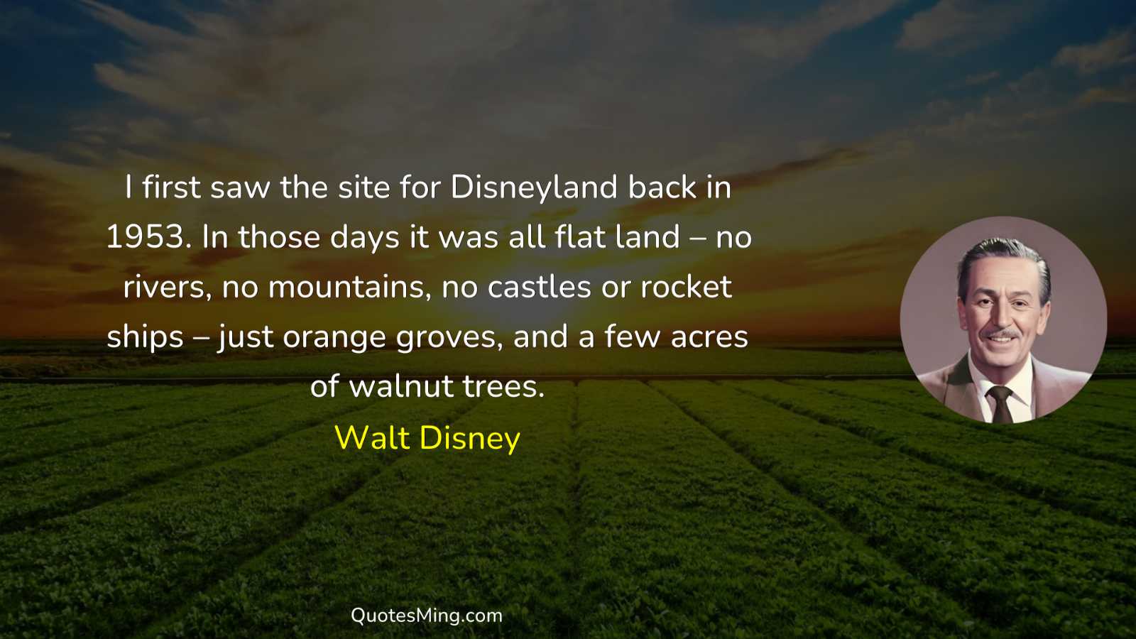 I first saw the site for Disneyland back in 1953