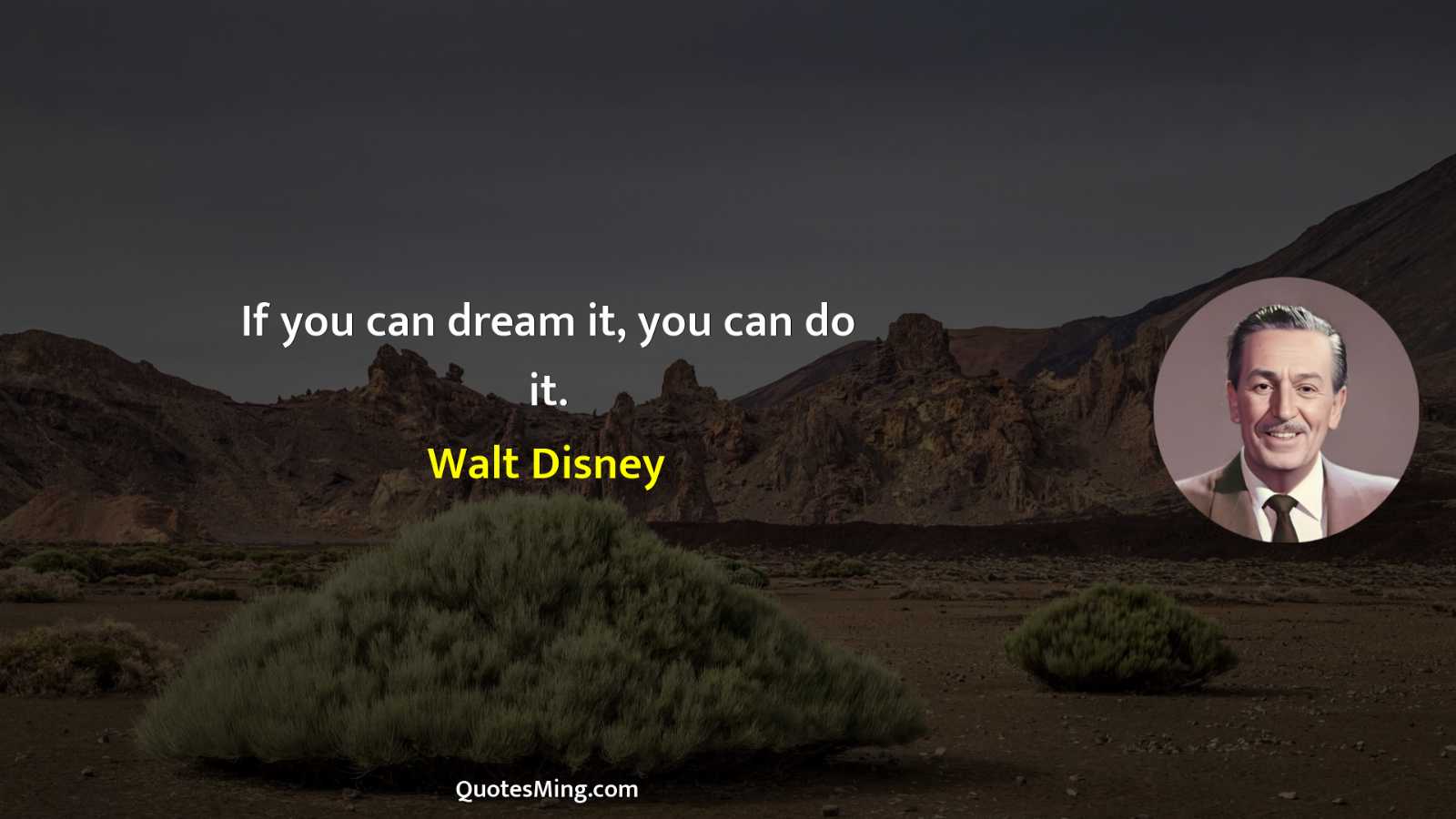 If you can dream it you can do it