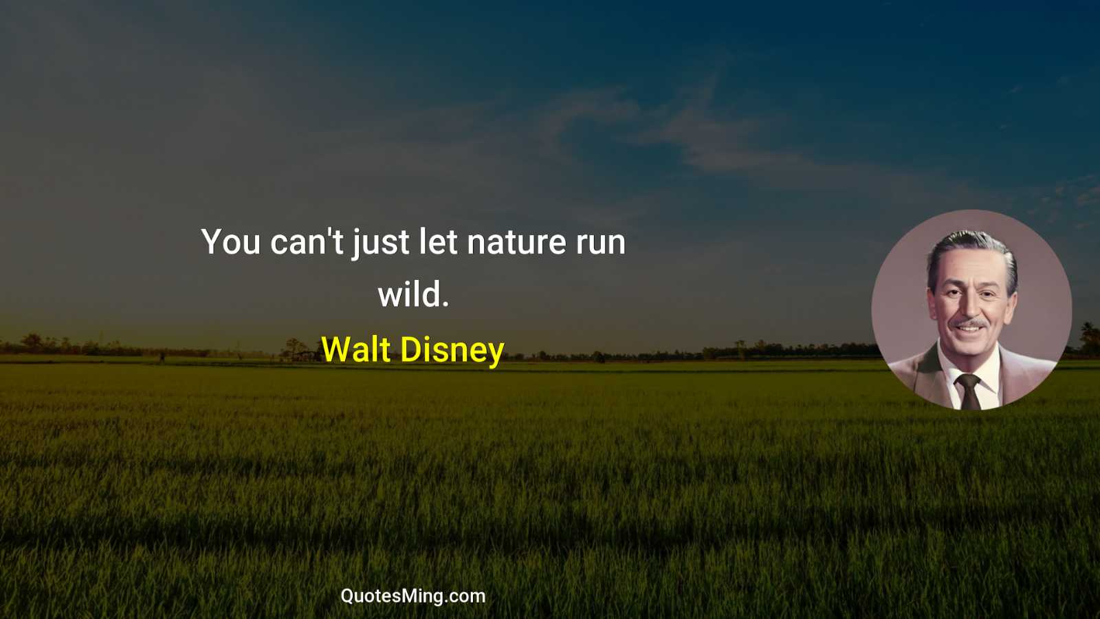 You can't just let nature run wild