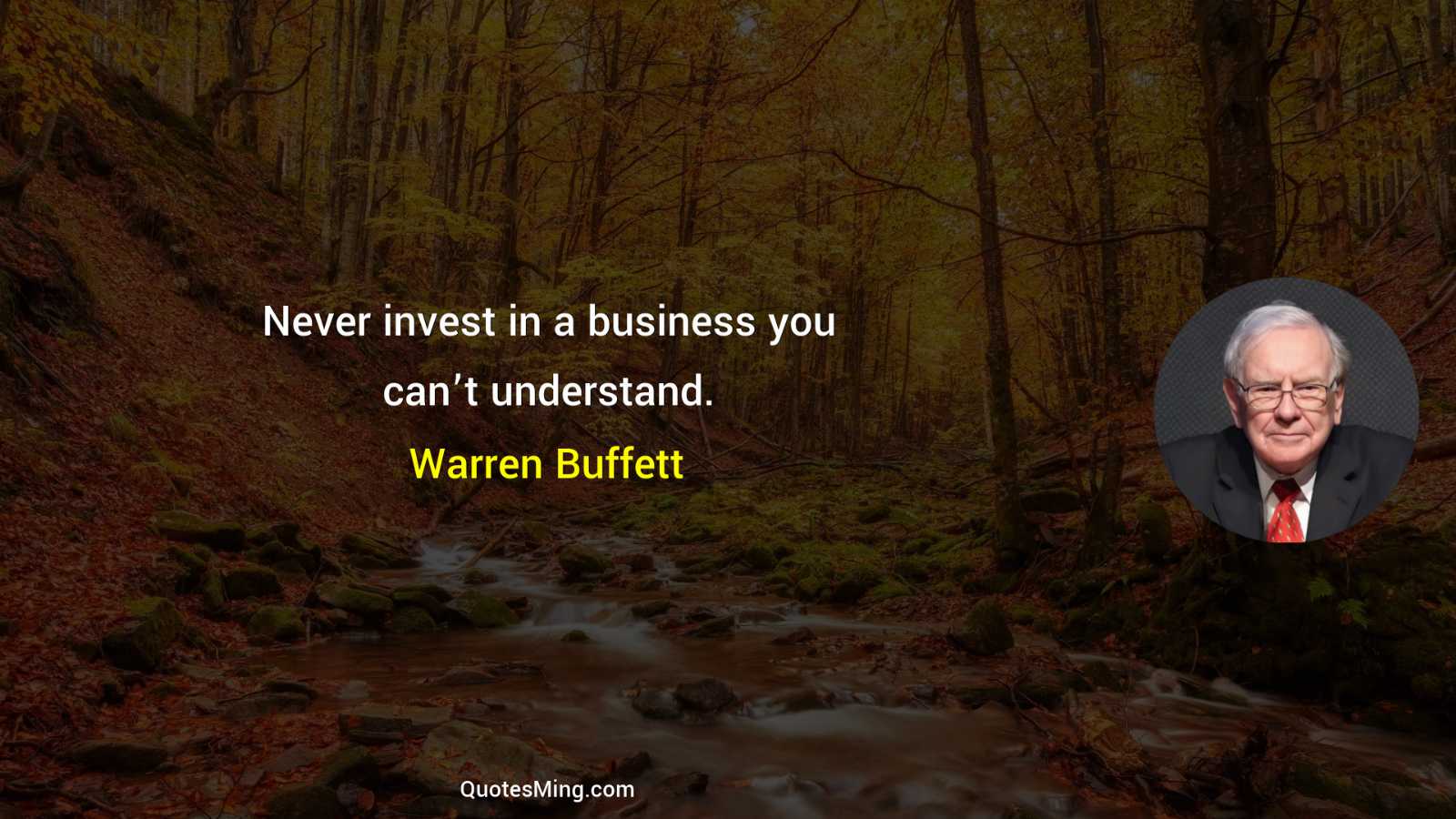 Never invest in a business you can’t understand