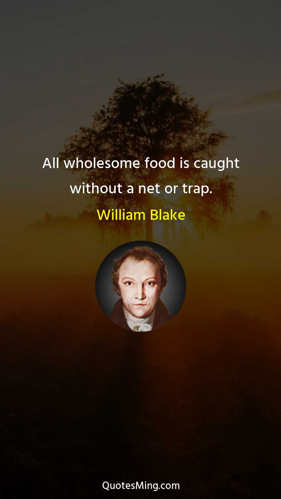 All wholesome food is caught without a net or trap