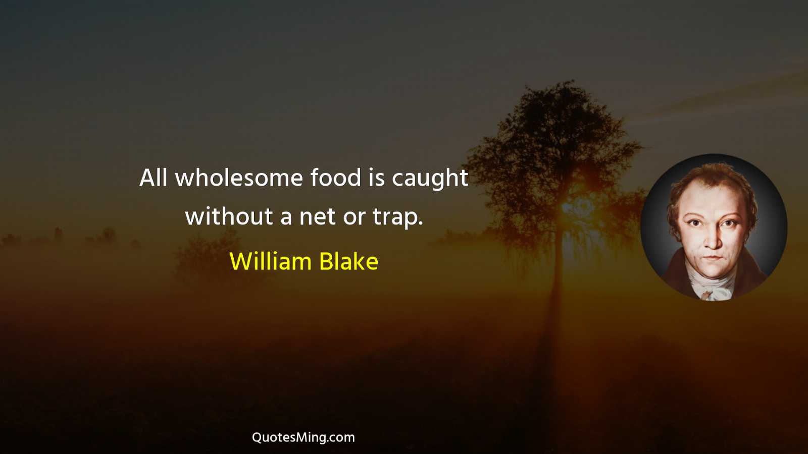 All wholesome food is caught without a net or trap