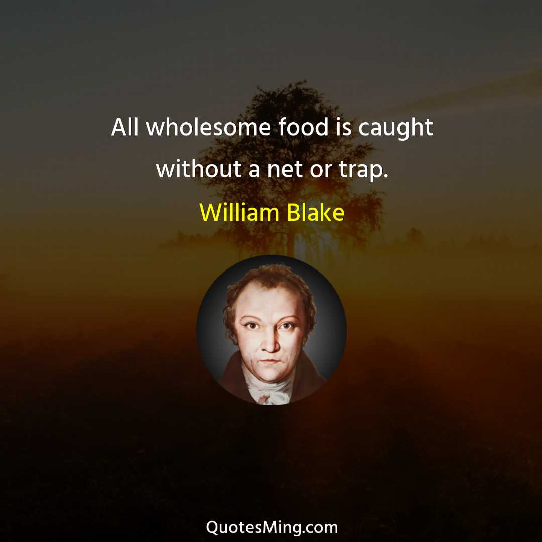 All wholesome food is caught without a net or trap