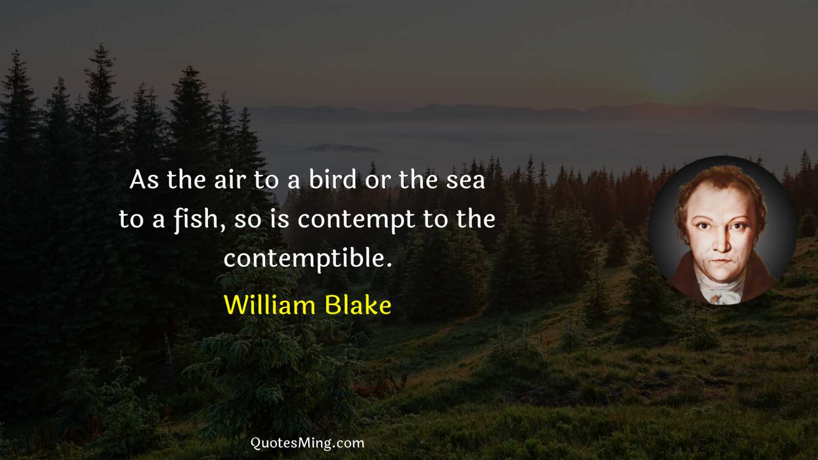 As the air to a bird or the sea to