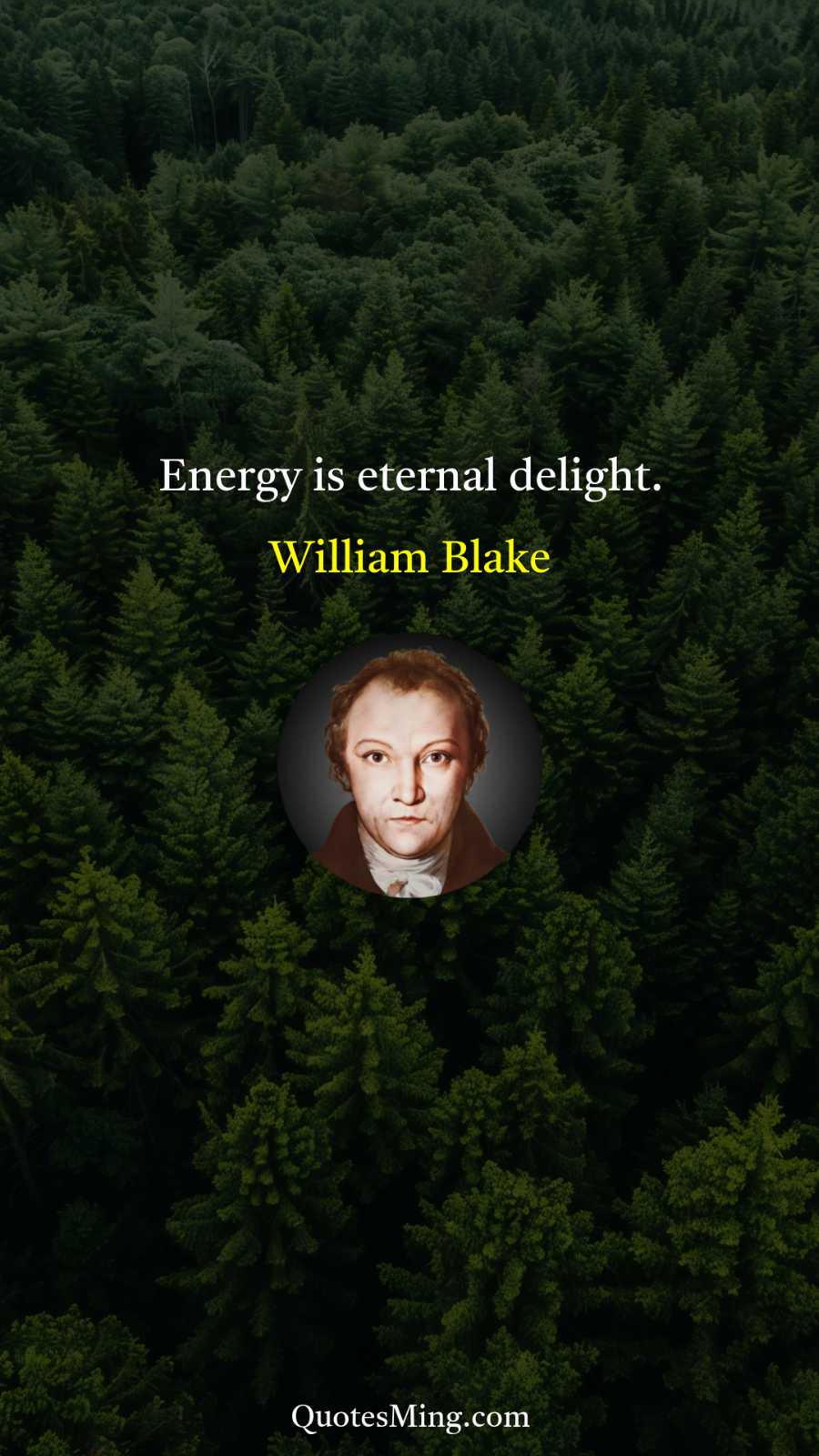 Energy is eternal delight