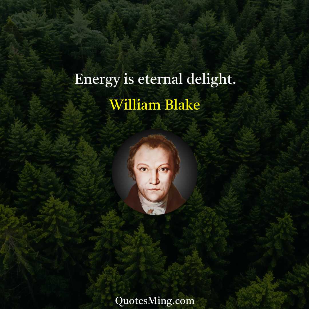 Energy is eternal delight