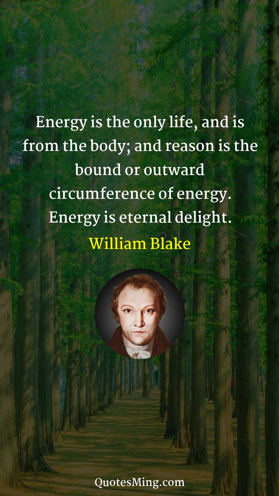 Energy is the only life and is from the body;