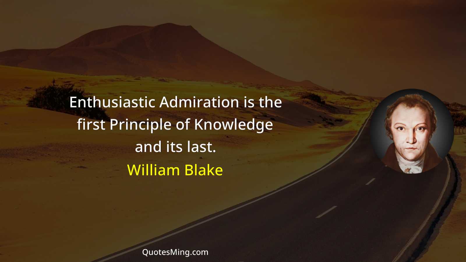 Enthusiastic Admiration is the first Principle of Knowledge and its