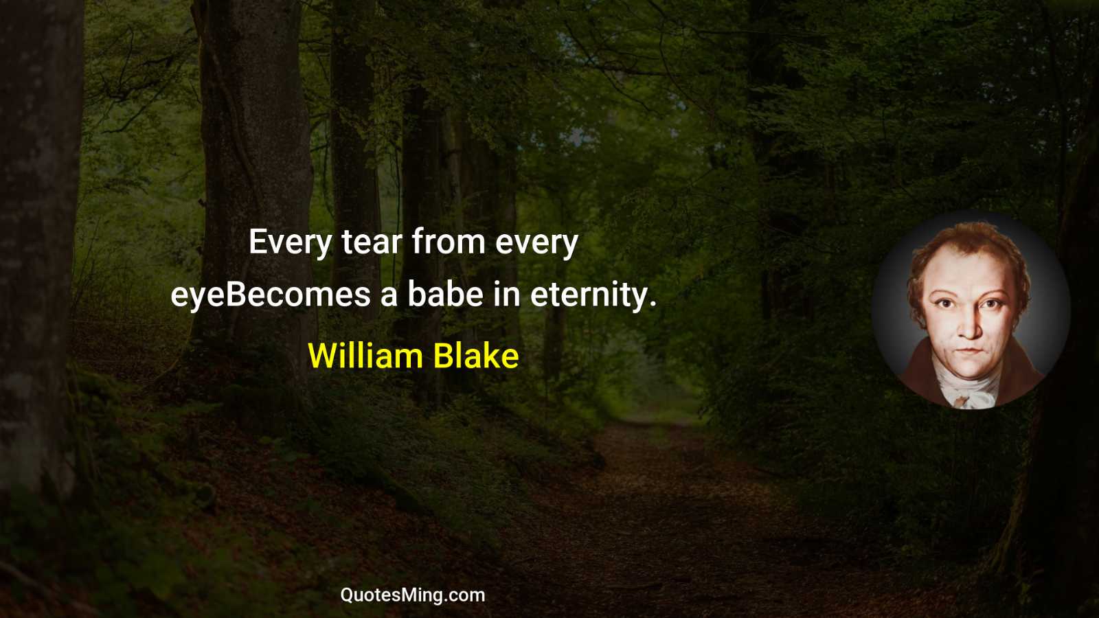 Every tear from every eyeBecomes a babe in eternity