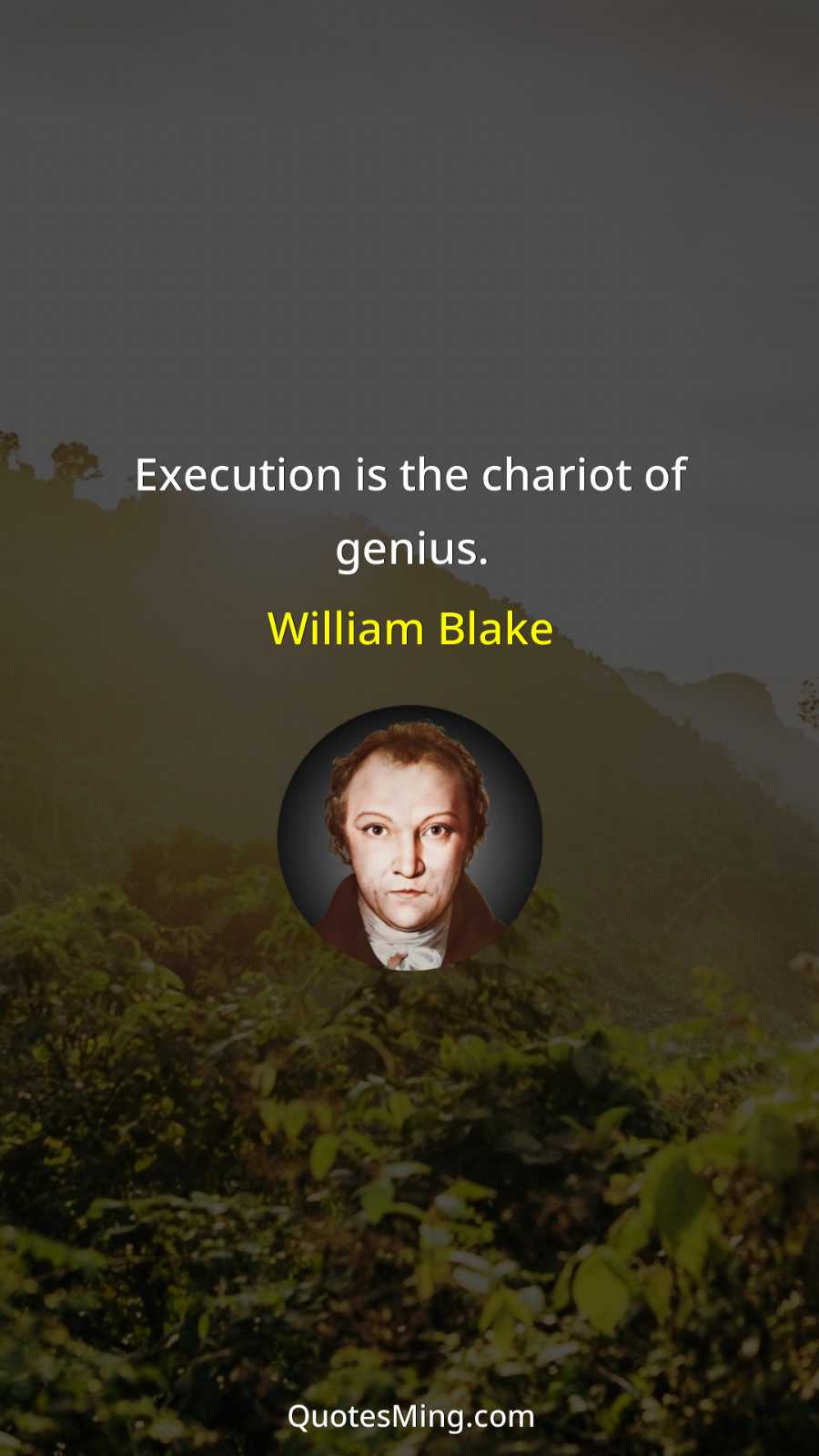 Execution is the chariot of genius