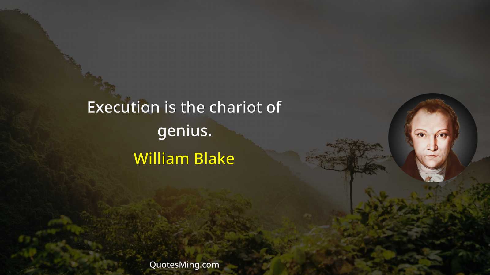 Execution is the chariot of genius