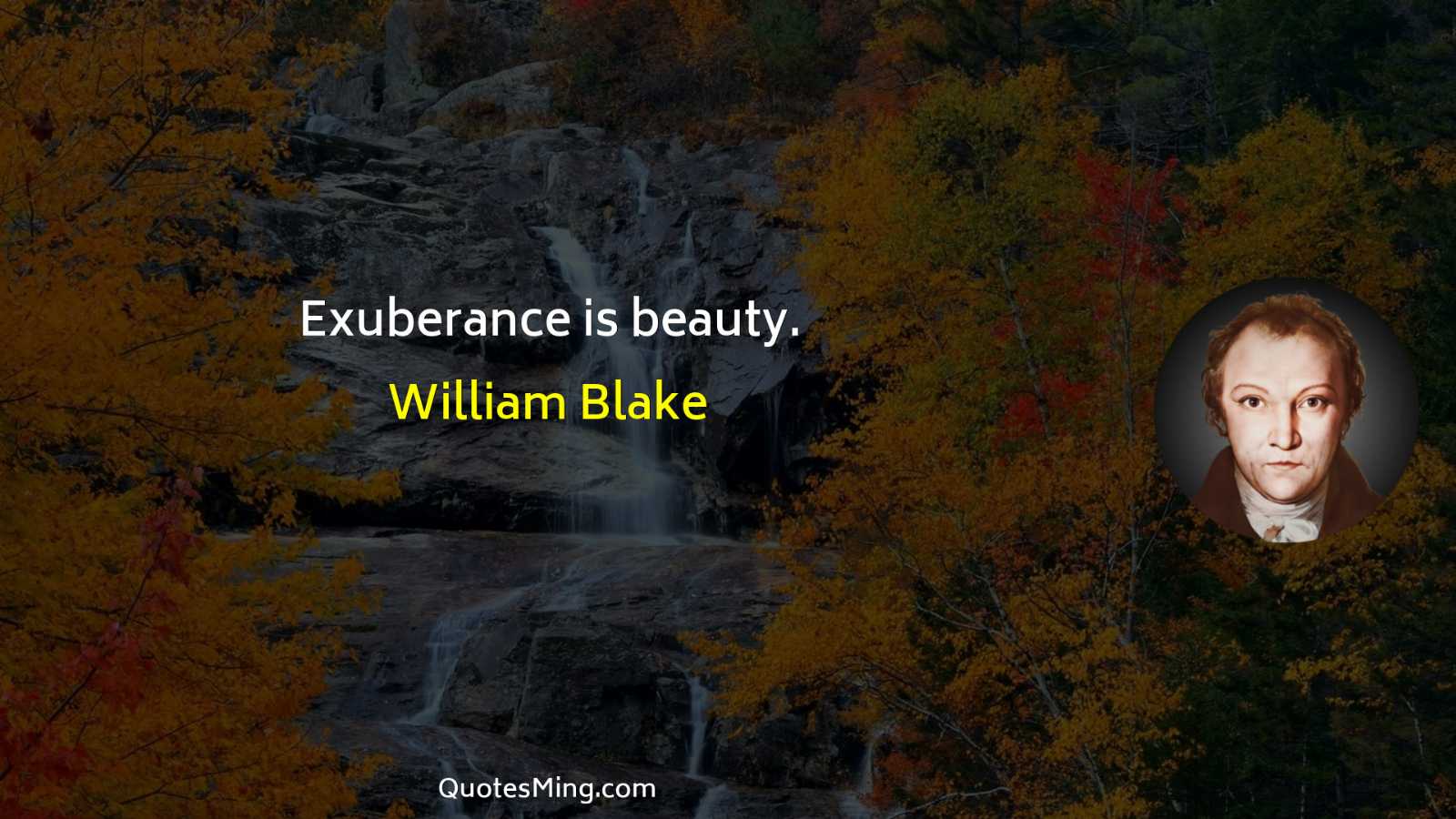 Exuberance is beauty