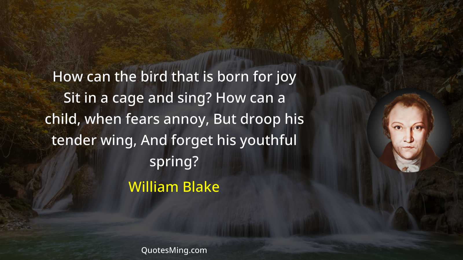 How can the bird that is born for joy Sit