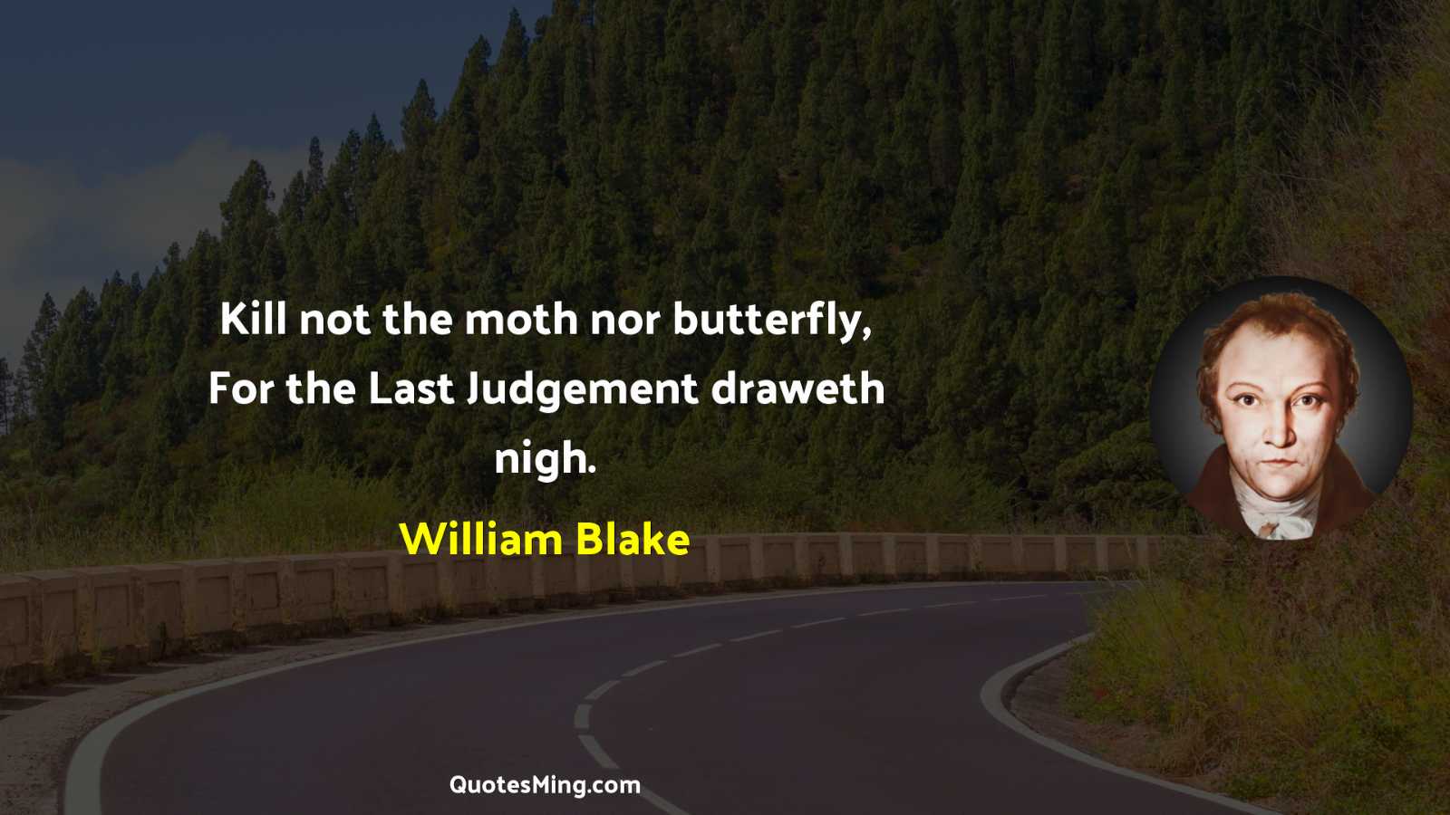 Kill not the moth nor butterfly For the Last Judgement