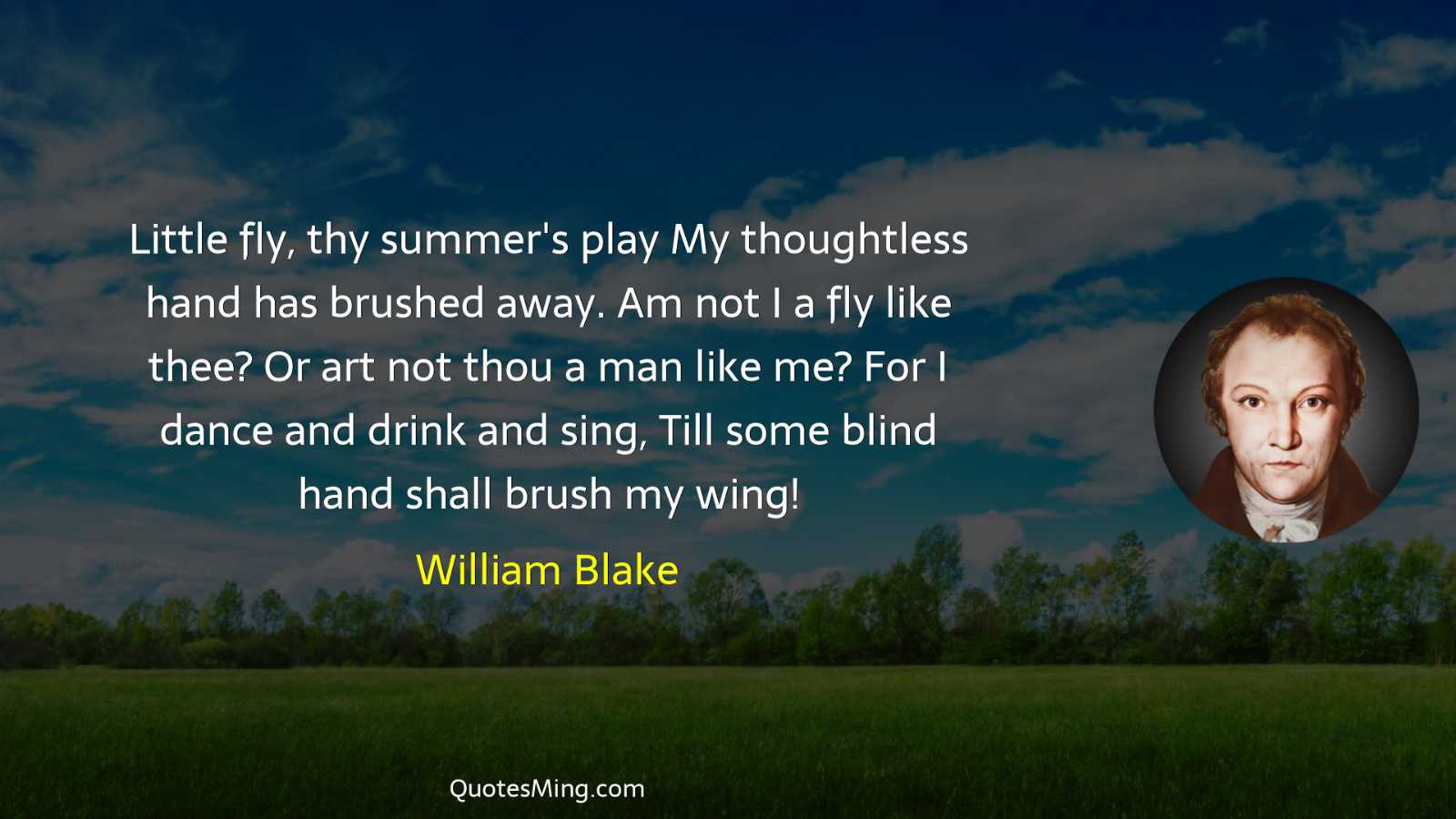 Little fly thy summer's play My thoughtless hand has brushed