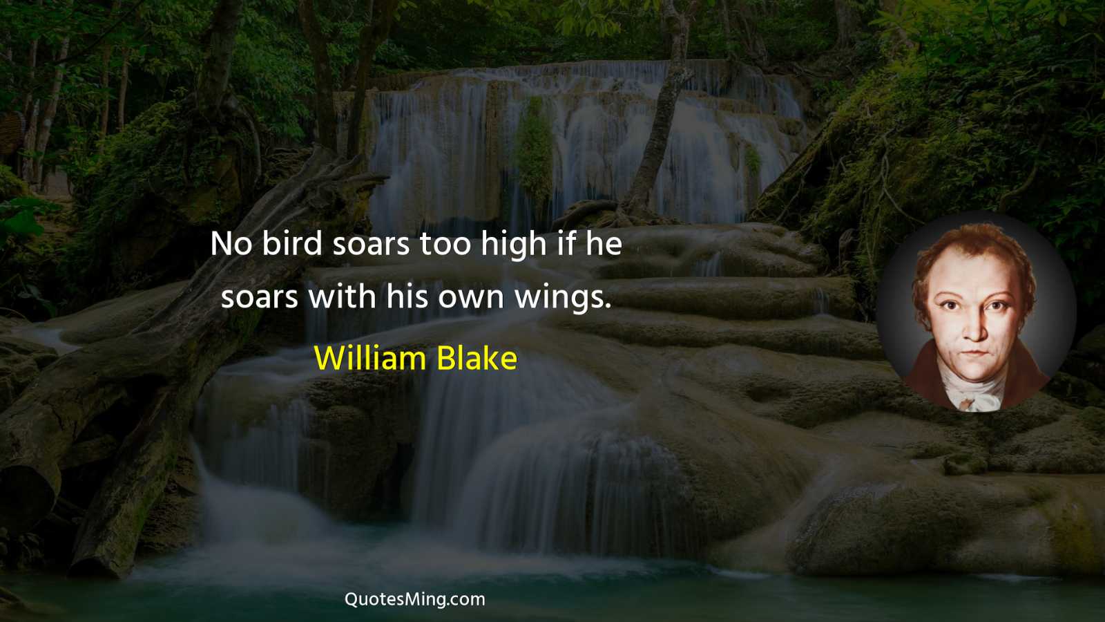 No bird soars too high if he soars with his