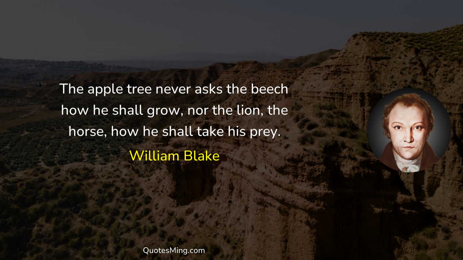 The apple tree never asks the beech how he shall