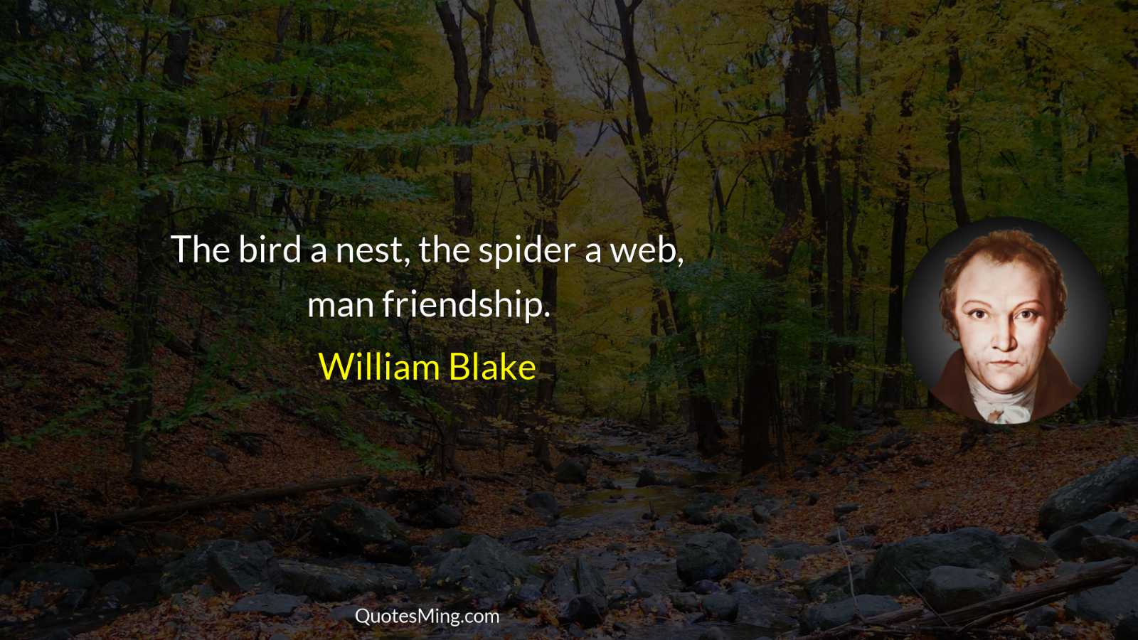 The bird a nest the spider a web man friendship