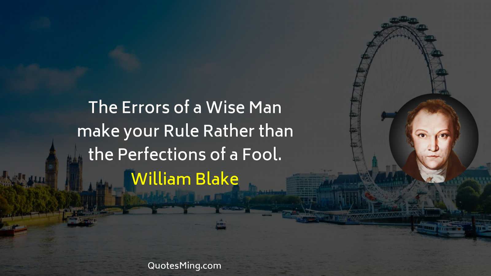 The Errors of a Wise Man make your Rule Rather