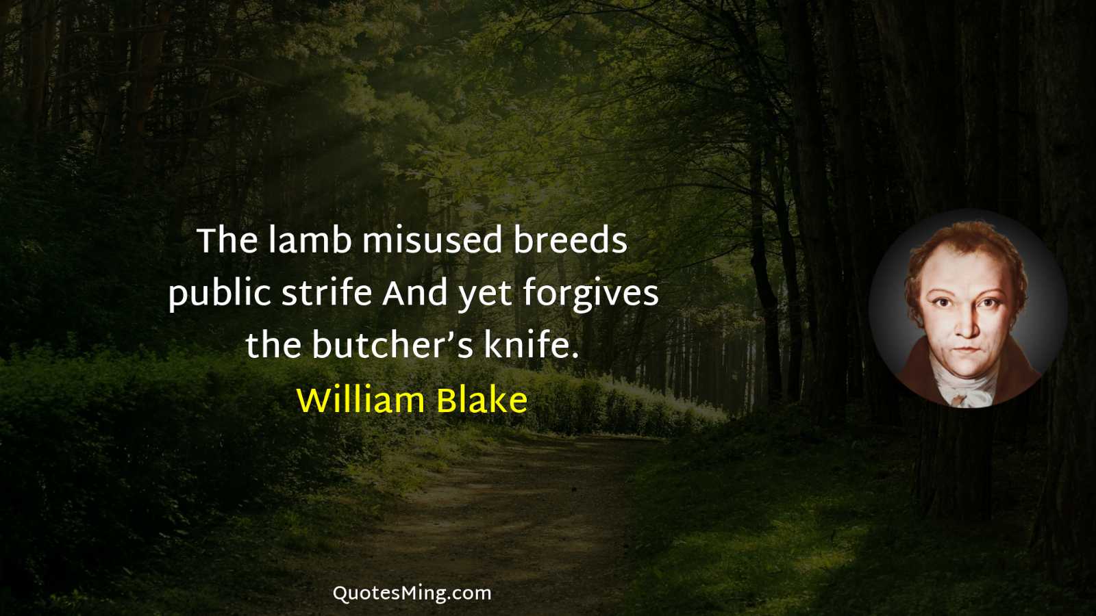 The lamb misused breeds public strife And yet forgives the