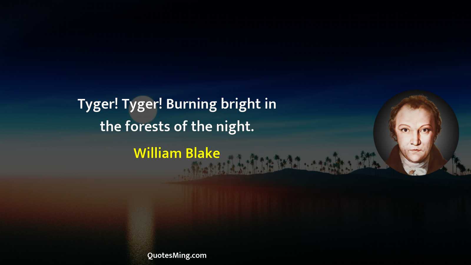 Tyger Tyger Burning bright in the forests of the night